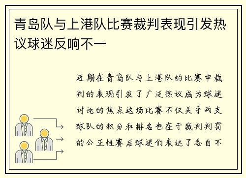 青岛队与上港队比赛裁判表现引发热议球迷反响不一
